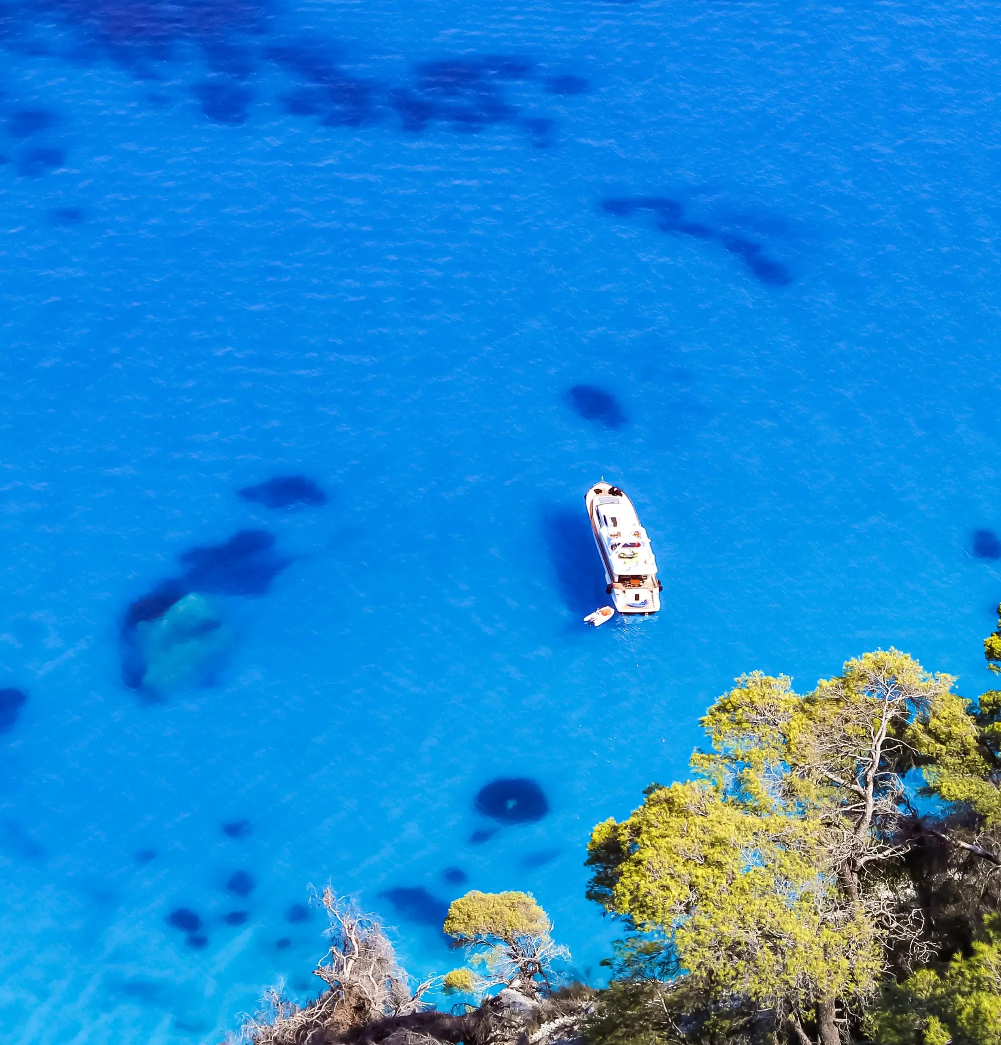 Dedicated compliance support for your fleet